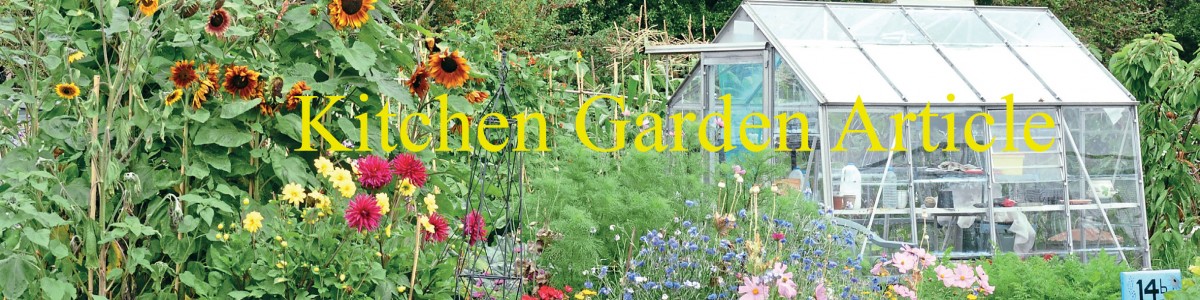 kitchen-garden-header
